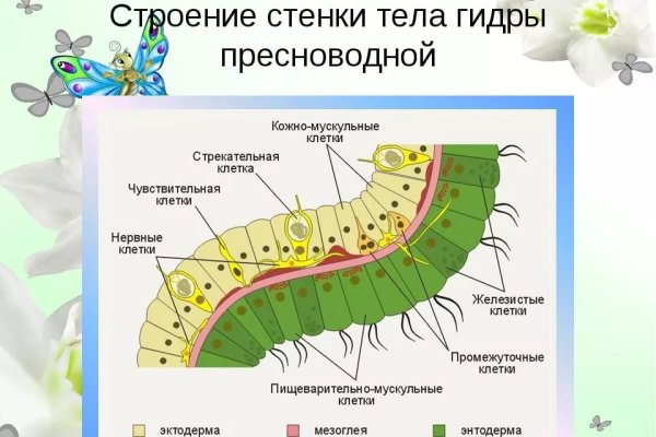 Как попасть на настоящий сайт меги