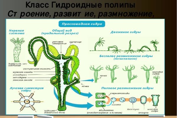 Сайт мега магазин закладок москва